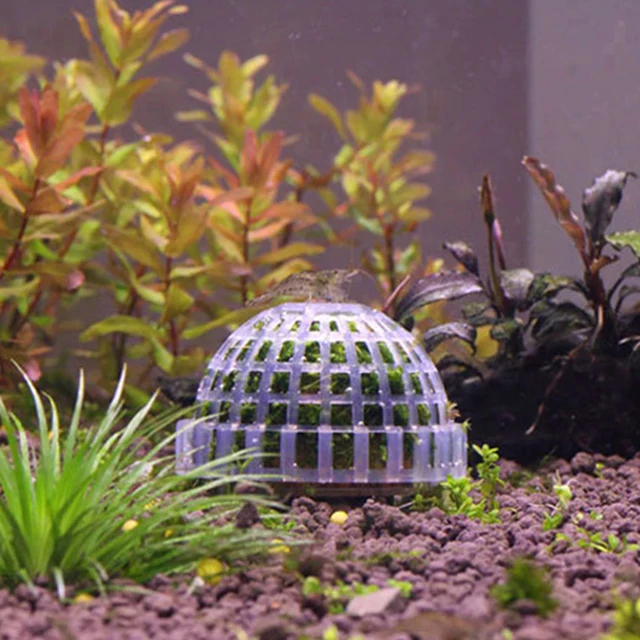 Aquarium Moss Ball Filter Plastic Aquatic Pet Supplies Decorations For Java Shrimps Fish Tank Pet Products Fish Tank Decor 4