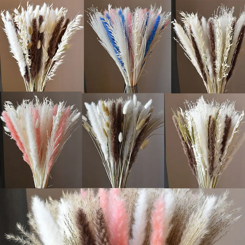 

75pcs Pampas Grass Fluffy Phragmites Room Home Decor Natural Dried Flowers Bunny Tail Grass Reed Bouquet for Wedding Decoration