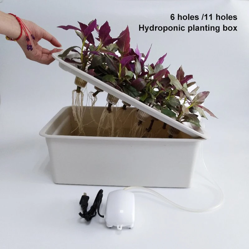 

6 Holes Plant Site Hydroponic Garden Pots Indoor Garden Cabinet Box Grow Kit Bubble Nursery Pots Plant Seedling Tray With Lids
