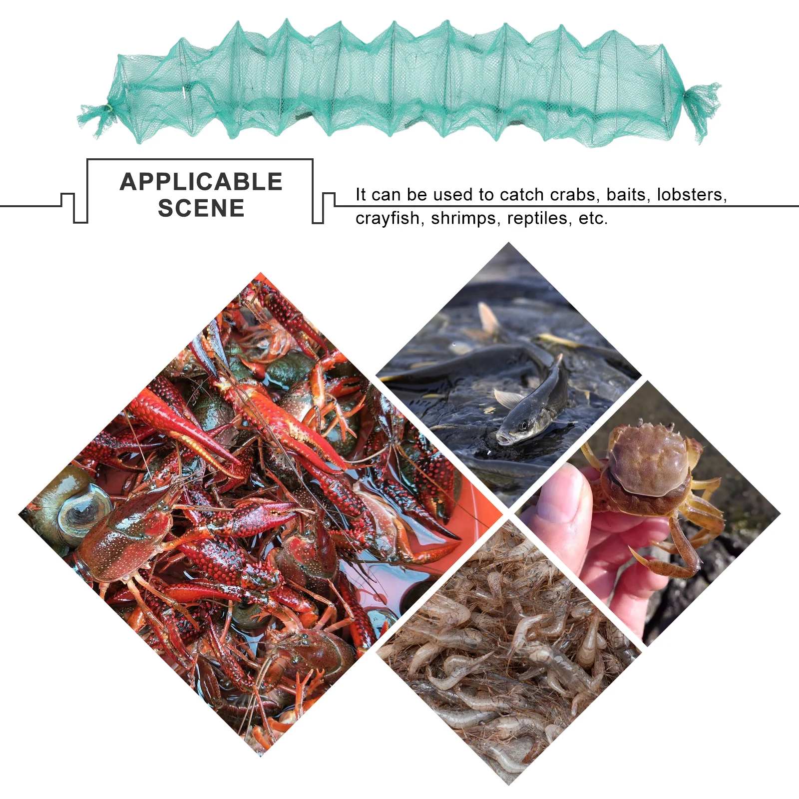 

Net Fishing Fish Cast Bait Lobster Shrimp Catching Collapsible Mesh Traps Crab Nets Portable Foldable Crawfish Tools Folding