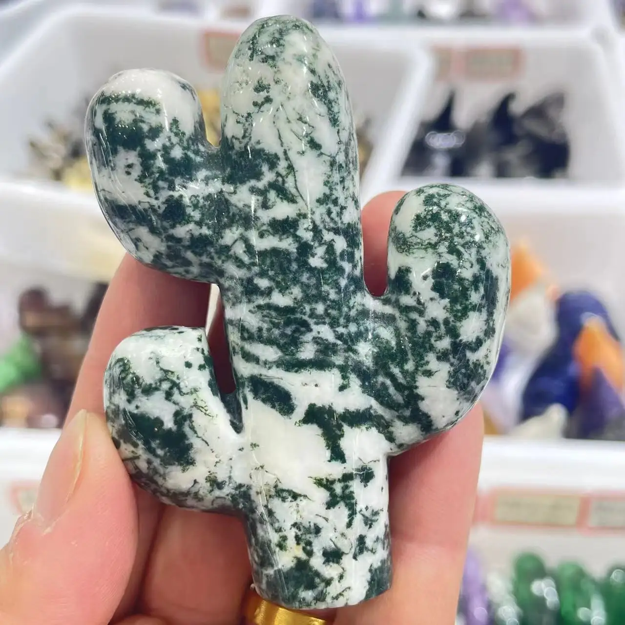 

Натуральный Порошок кактус Хрустальная рука богиня лечение