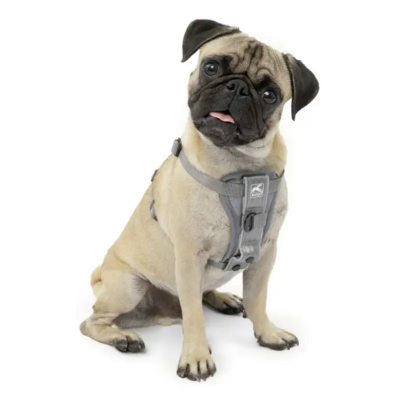 

Smart Harness - QR, Grey, S Pet shop accessories For dog Lazos dog Acesorios para perros Cat collar Dog sunglasses small dogs Do