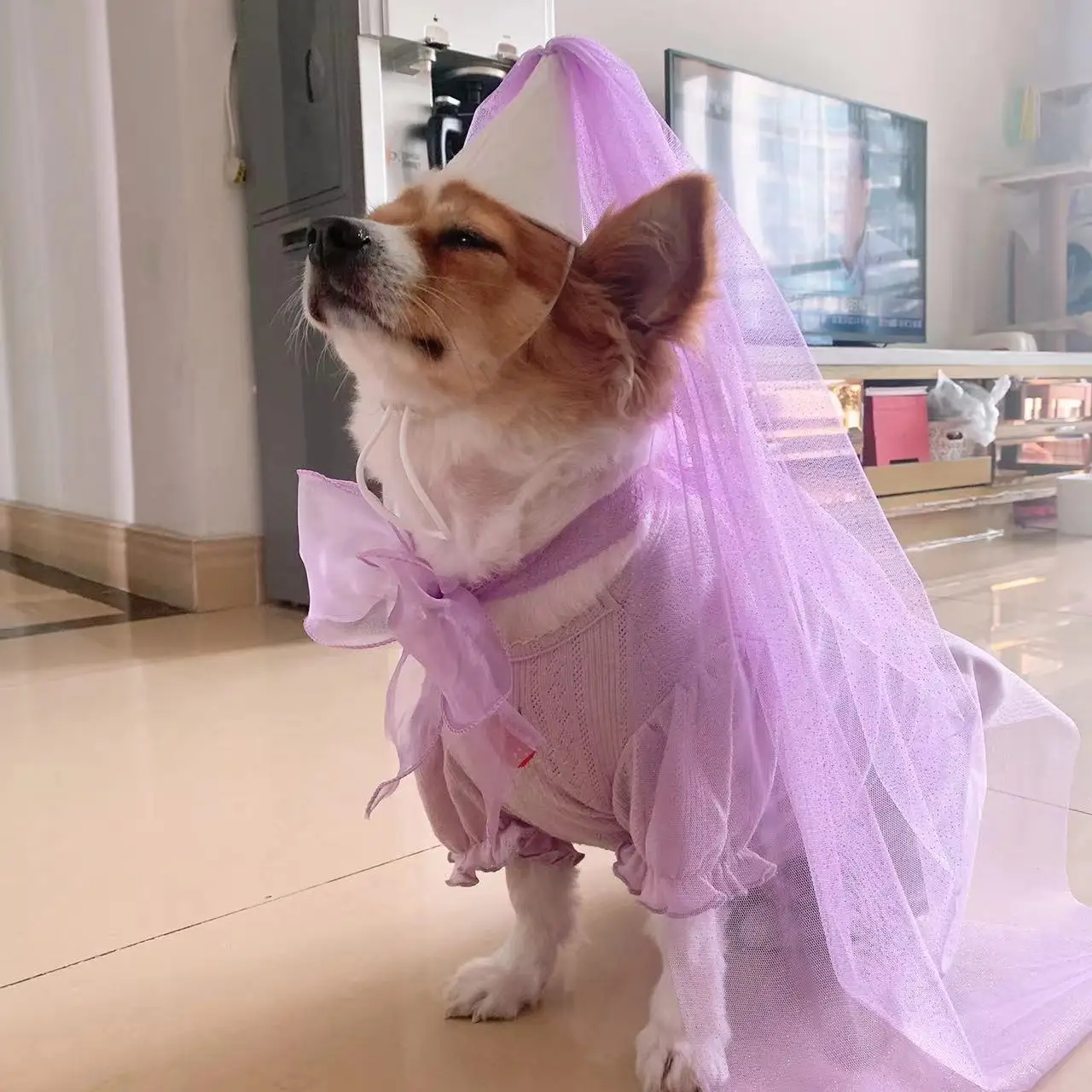 

Pet Dog Birthday Party Hat Wedding Hat Bow Saliva Towel Teddy Triangle Scarf Bow Pocket Bib Scarf Dog Cute Jewelry Hats for Dogs