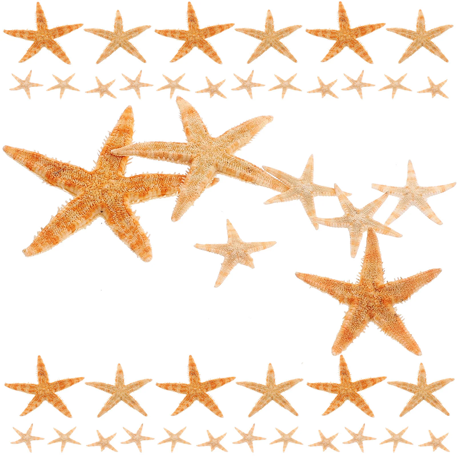 

100 шт., декоративные ракушки для аквариума