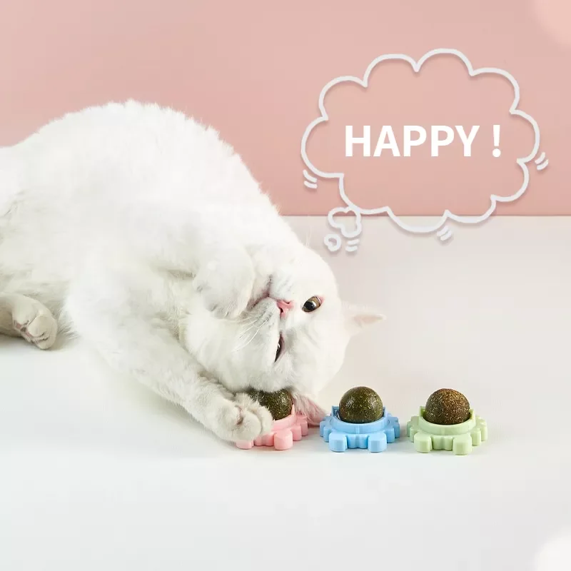 

2022360 Rotation Natural Catnip Pet Roducts Cat Toys Chewing Toy Accessories Kitten Edible Treating Cleaning Teeth Teasing Suppl