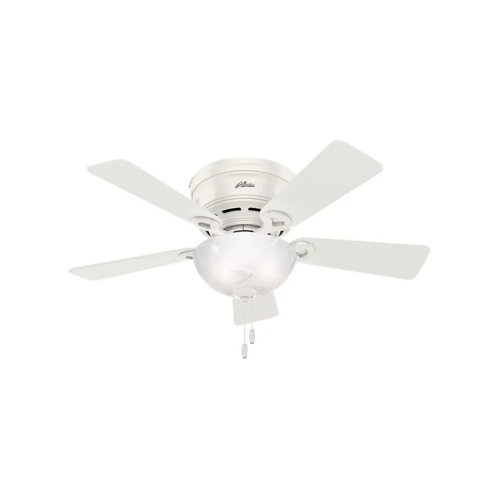 

Hunter Fan 42 in. Haskell Reversible Blade Indoor Ceiling Fan with Light Cooling Appliances Household Appliances