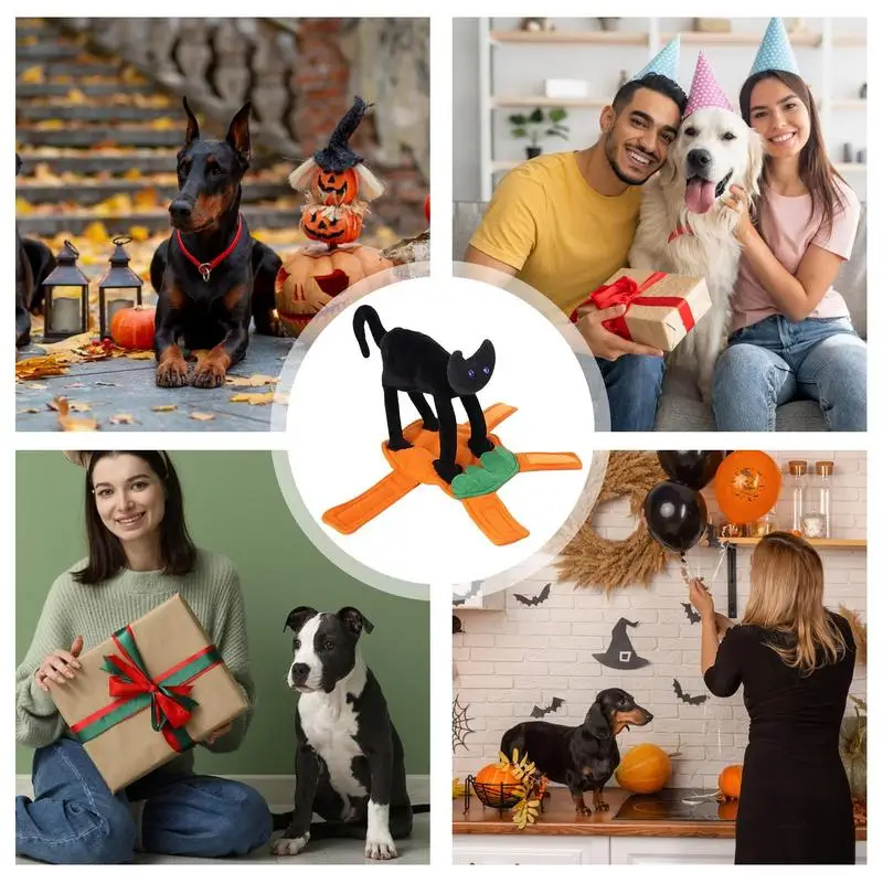 Забавный костюм кошки Райдера собаки для маленьких и больших собак женская