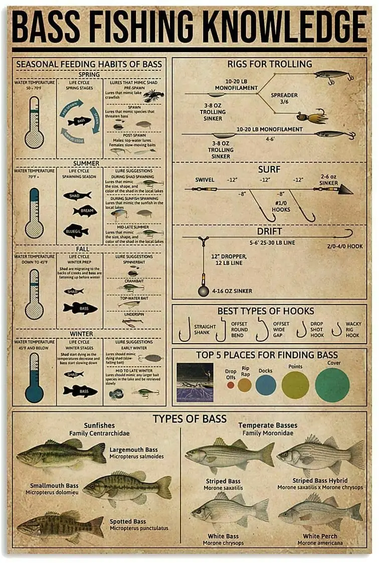 

Metal Sign Bass Fishing Knowledge Tin Sign Bar Home Decoration New Year Sign The Best Gift for Parents, wall decor posters