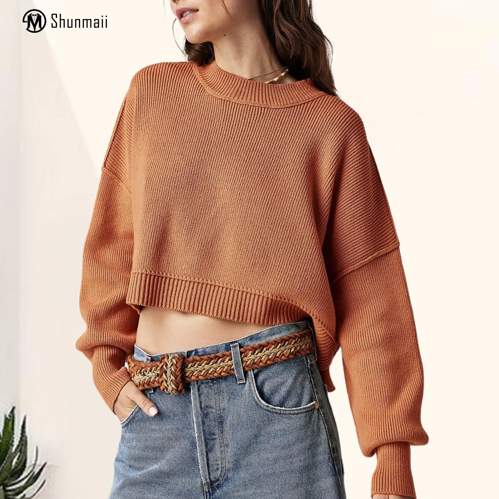 

Crew Neck Women Long Sleeve Sweatshirts Ladies Basic Pullover Solid Color Fleece Hoodie Casual Style Oversized Daily Suit