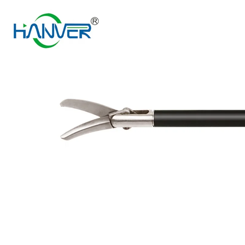 

Types of Surgical Scissors Names Curved Scissors