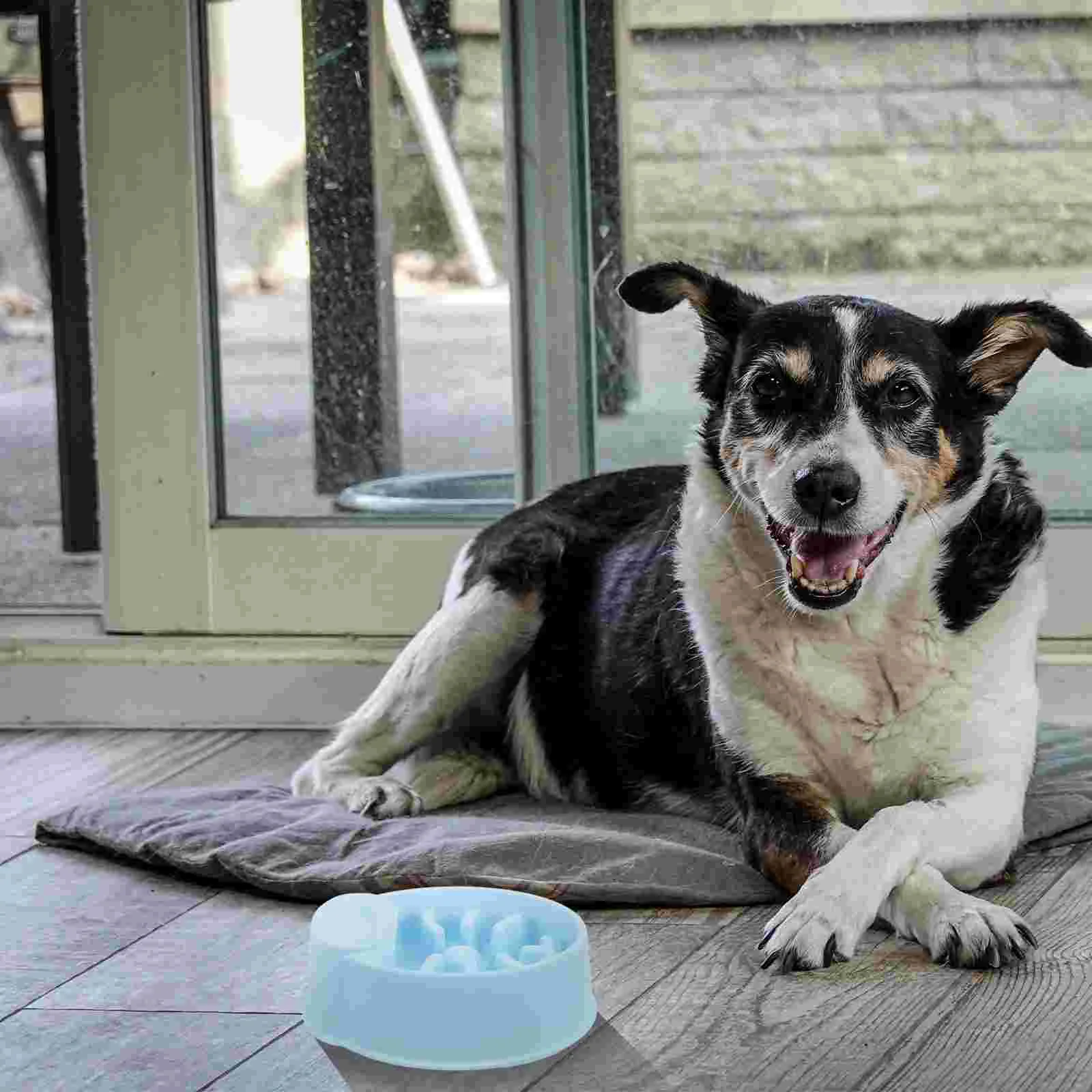 

Pet Food Bowl Cat Bowls Lovely Feeding Slow Feeder Anti-choking Slowing Dog Plastic Floor