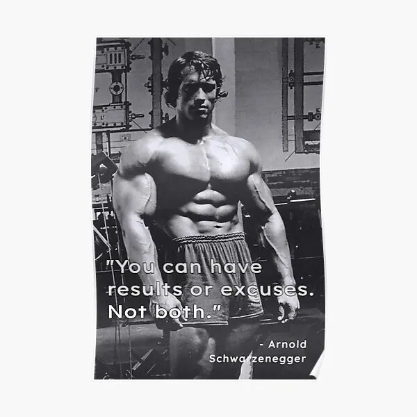 

You Can Have Results Or Excuses Not Bot Poster Home Picture Wall Modern Room Art Funny Decoration Print Decor Mural No Frame