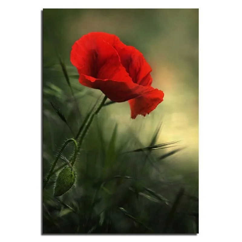 

5D FLOWER 20X30cm Diamond Painting Embroidery Kit Square Drill Diamond Rhinestone Pasted Painting Unfinished Room Decoration