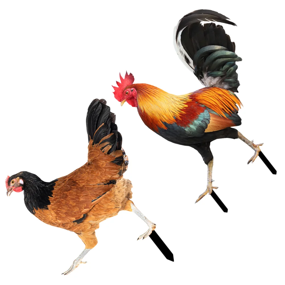 

2 Pcs Outdoor Decorations Garden Stake Signs Decorate Chick Adornment Chicken Ornament Acrylic Lawn