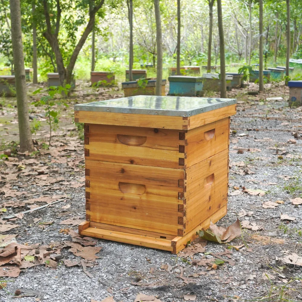 2-х слойный улей Witbee Bee Hive 10 рамок