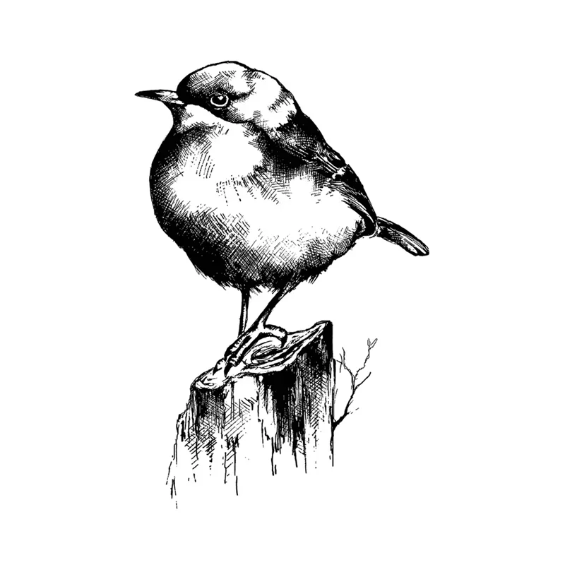 Животные птицы сова кролик пасхальные 2022 новые прозрачные штампы для