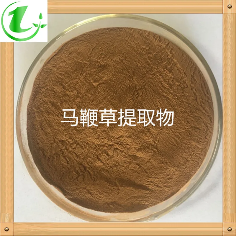 

Verbena Extract 20: 1 Wild Verbena Verbena Extract Powder Concentrate Powder