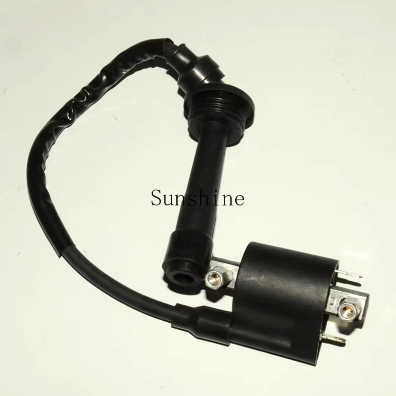 Подходит для Qianjiang Sai 250 Xiaohuanglong 250-15 Cub Xiaojinpeng 251 катушка зажигания высокого