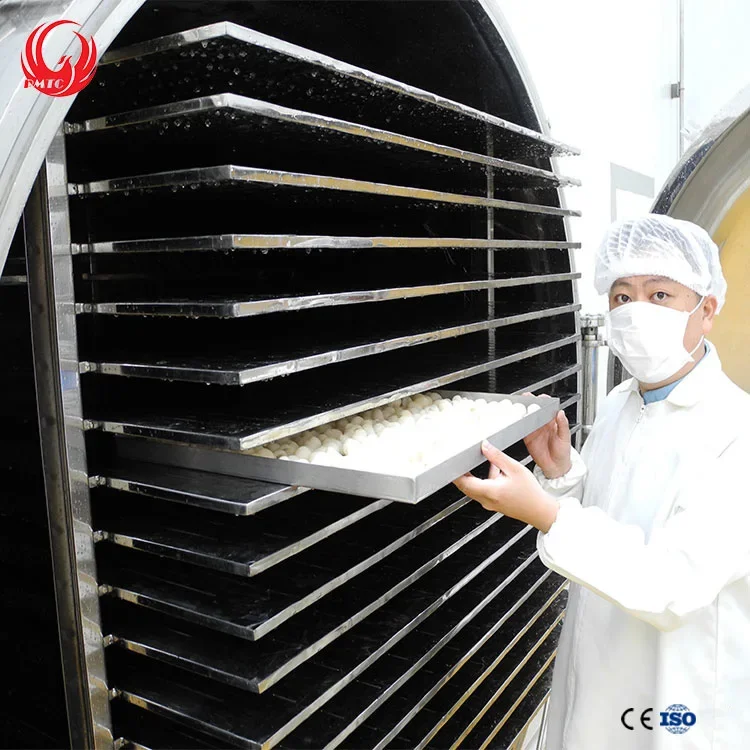 1000 кг вакуумное оборудование для сушки фризе машина лиофилизации