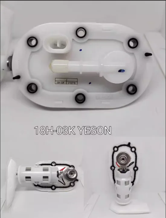 Качественное оборудование европейского стандарта топливный насос в сборе Φ 18H-03K