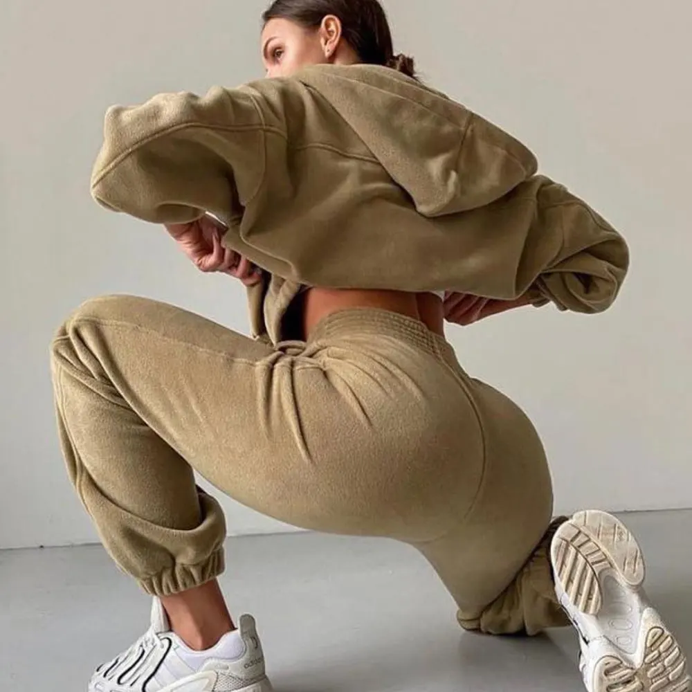 Autumn 2022 Women's Brand Velvet Fabric Tracksuits Velour Hoody Track Suit Hoodies and Pants Oversized Sportswear Two Pieces Set