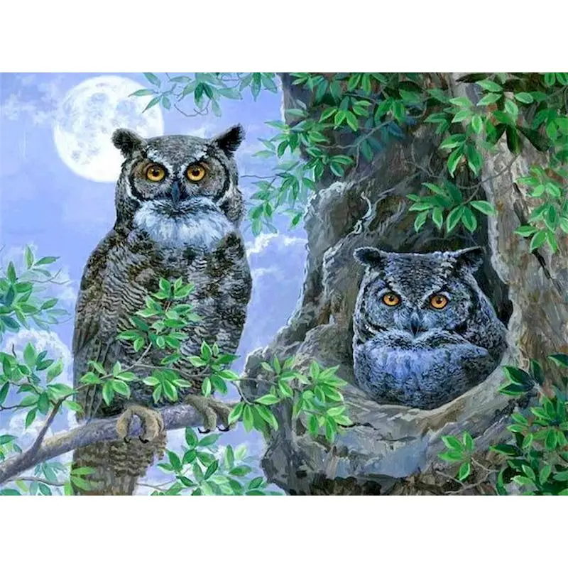 

GATYZTORY Owl Painting By Numbers Animal Drawing On Canvas Acrylic Paints Oil Handpainted Wall Art Picture For Home Decoration