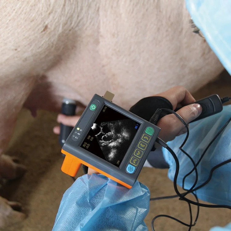 Дешевая электронная ультразвуковая машина со стандартным цифровым механическим