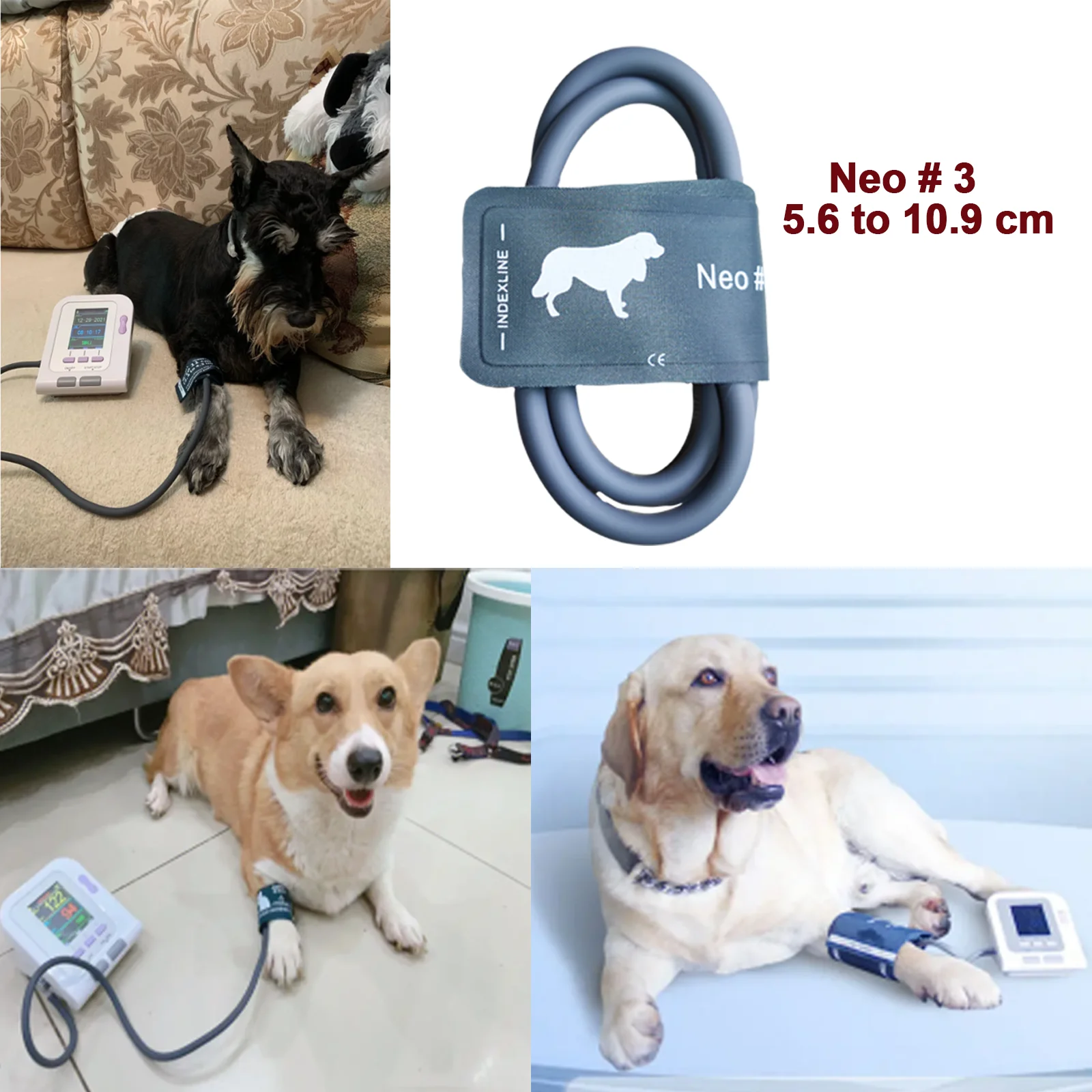 Женский Сфигмоманометр для кошек и собак цифровой ветеринарный прибор измерения