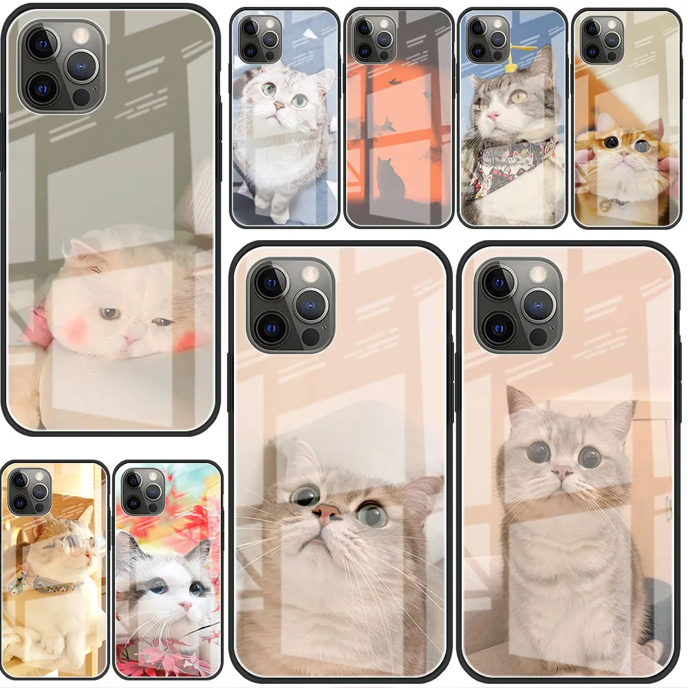 Cute Cat Cartoon Glass Case For Apple iPhone 14 13 Pro 11 12 7 8 Plus SE 2022 XR X XS Max 6 6S Tempered Phone Cover