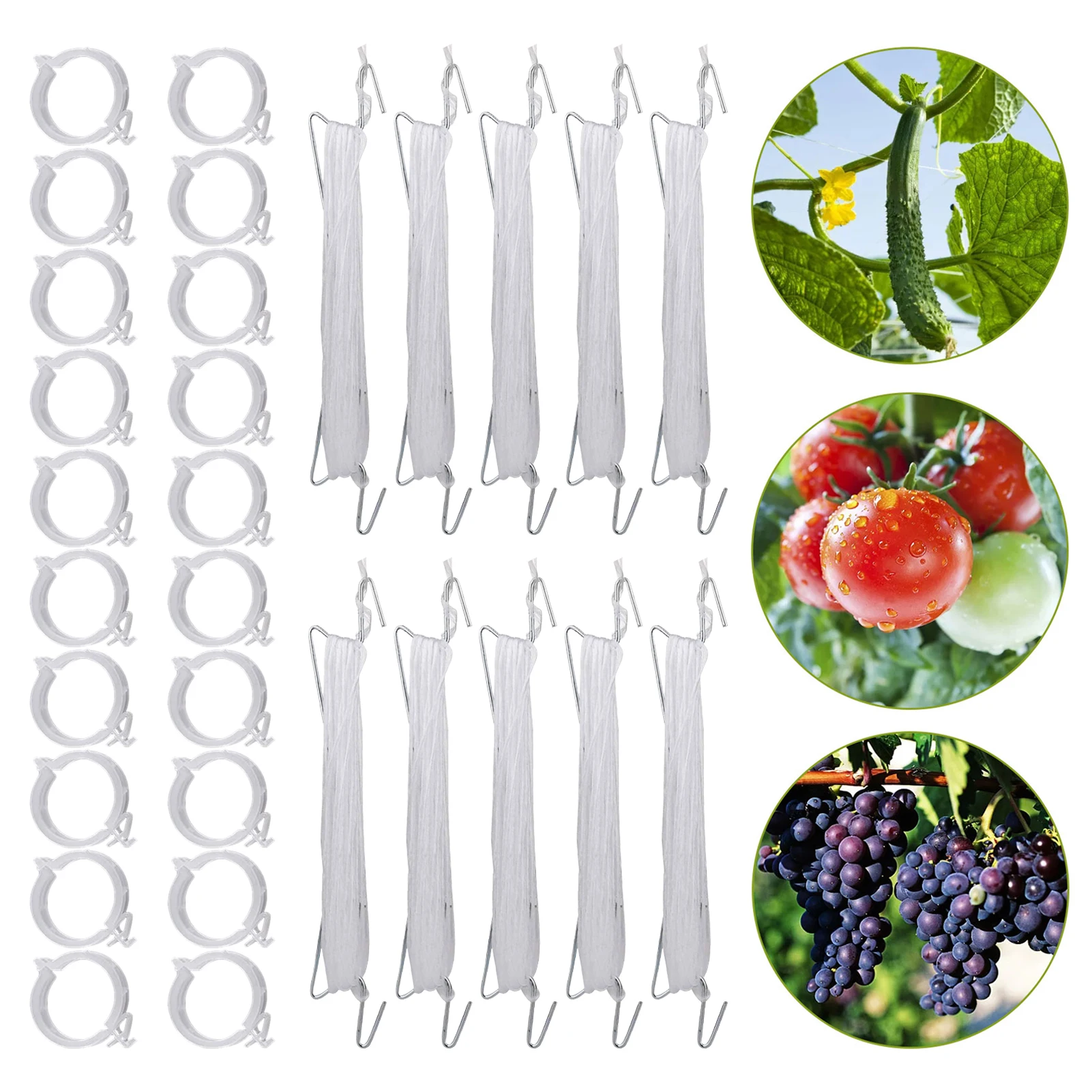 

Plant Supports Hooks For Tomato Iron Durable Tomato Plant Support Prevent Pinching Or Falling Off Plants And Vines Support Tool