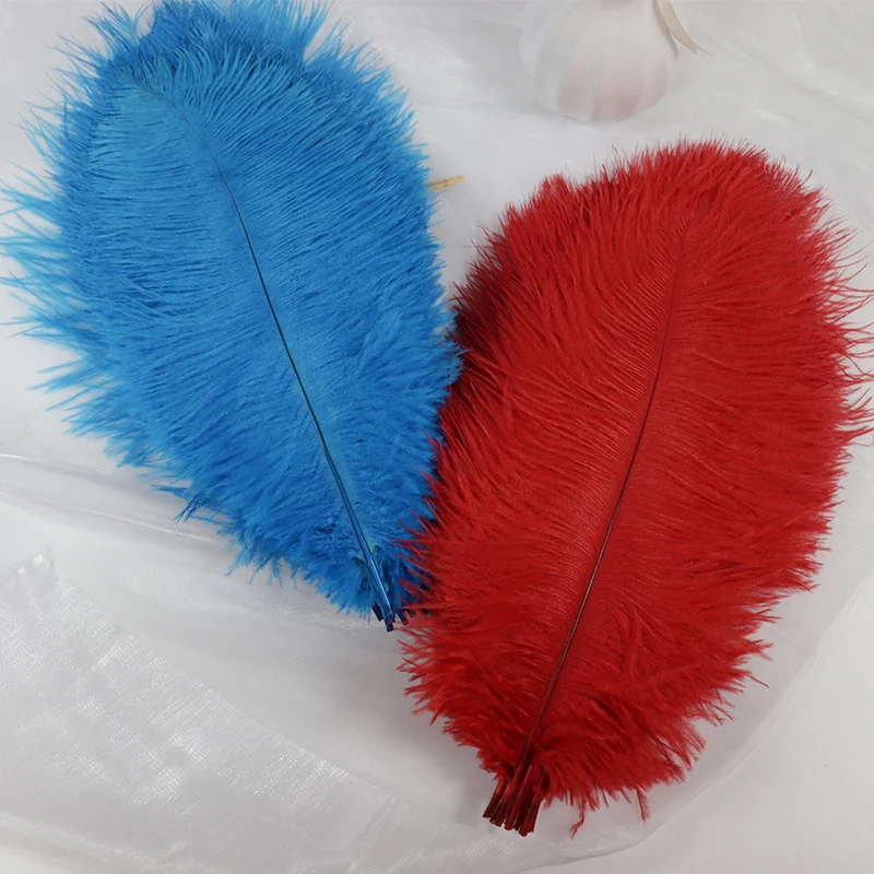 

10Pcs/Lot Factory Direct Sales 30-35cm Colorful Ostrich Feathers for DIY Crafts Decorative Wall Party Home Dressing