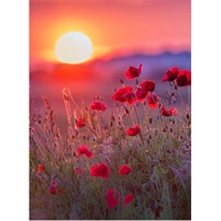 5d diamond painting sunset red flower landscape full drill by number kits for adults diy diamond set arts craft a0596