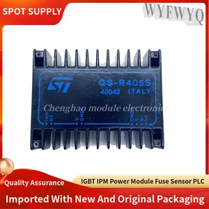 GS-R405S GS-R400V GS-D200S GS-R400VB GS-R424 IGBT NEW AND ORIGINAL MODULE