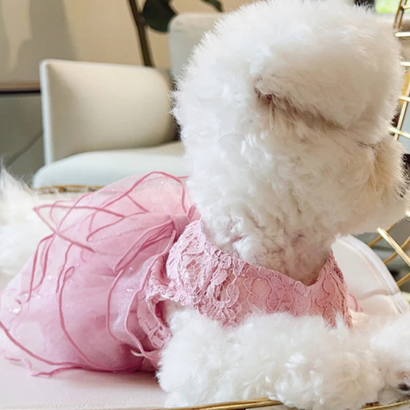 Летнее платье для кошек одежда чихуахуа йорков пуделя собак Shih Tzu Bichon костюм