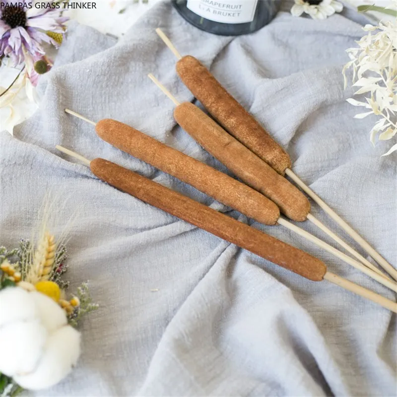 Камышовая палочка с 4 стеблями домашний художественный декор чистые натуральные