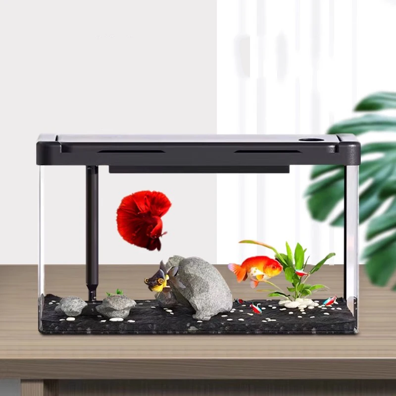 

Modern Aquascape Aquariums Jellyfish Filter Box Overflows Pumps Aquariums Small Isolation Pecera Portatil Aquarium Decorations