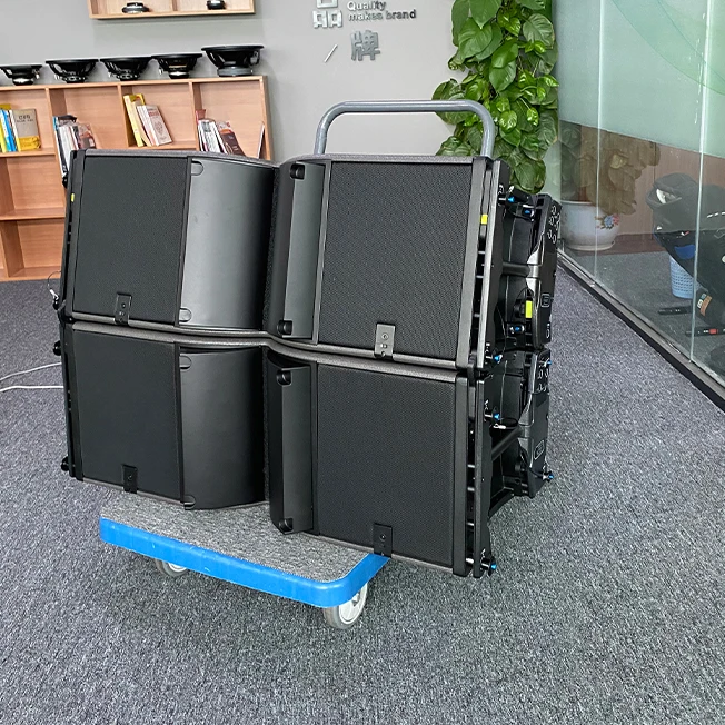 Двойной 12-дюймовый линейный массив Профессиональное звуковое оборудование