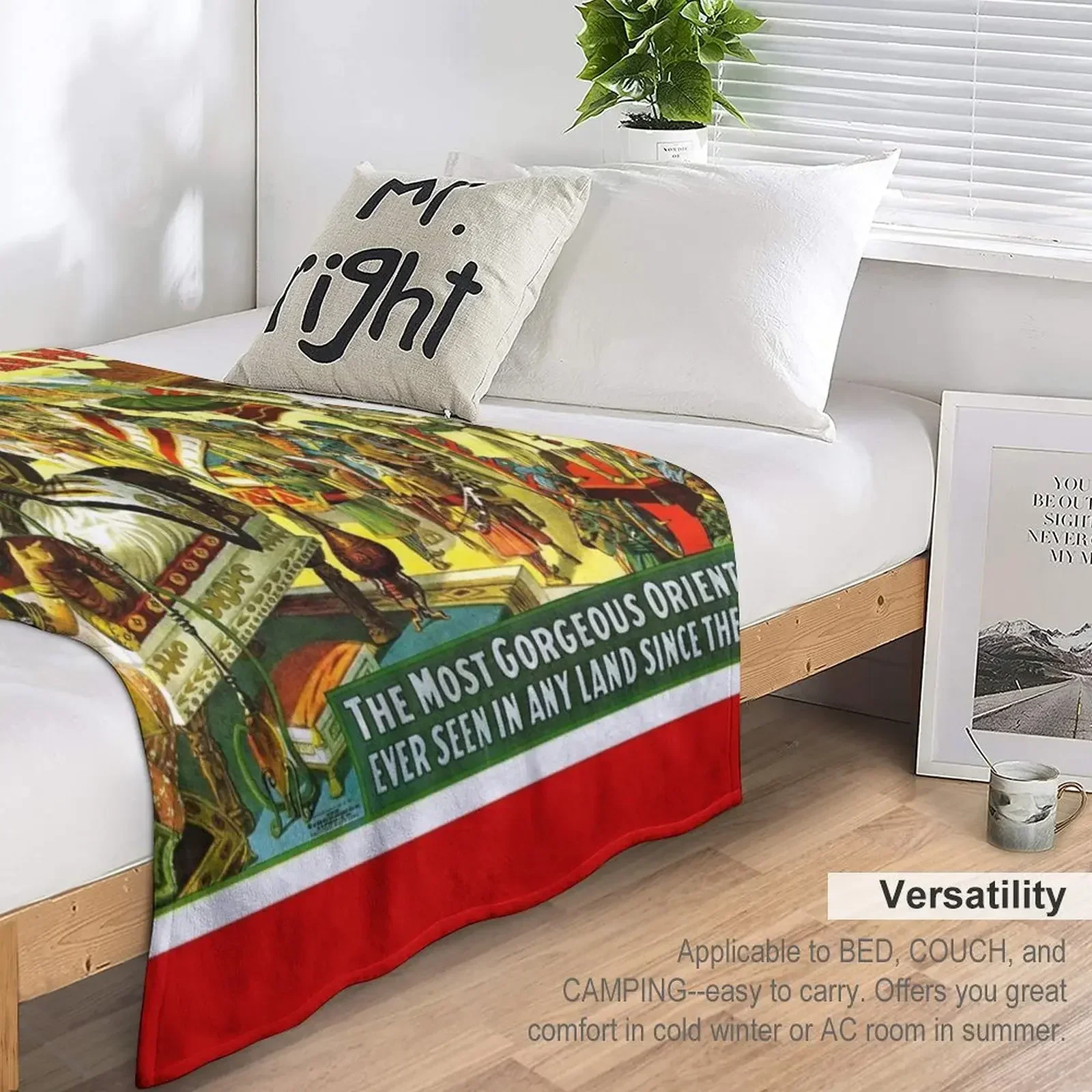 Бармина и Бейли цирк: ВИНТАЖНАЯ Персия живописный принт декоративные диваны