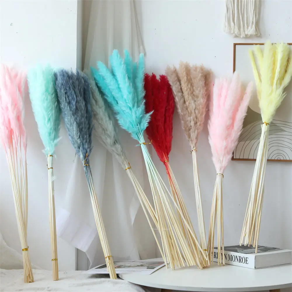 

15Pcs Natural Dried Small Pampas Grass Flowers Pantas Artificiales Para Decoration Real Plants Home Decor Wedding Decorations