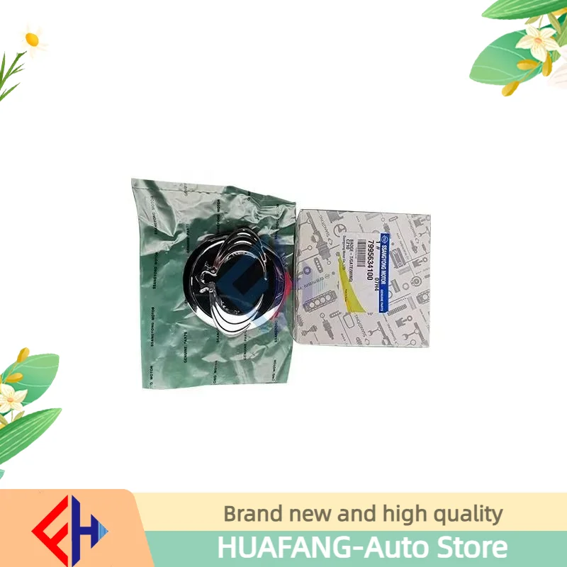 Мотор стеклоподъемника SSANGYONG двигатель ACTYON KYRON REXTON KORANDO C MUSSO RODIUS TIVOLI 8810009003 8810008013