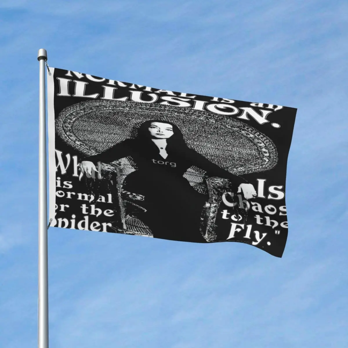 

Morticia Addams-Normal Is An Illusion Flag Decor Modern Easy To Hang Fade Resistant Lightweight