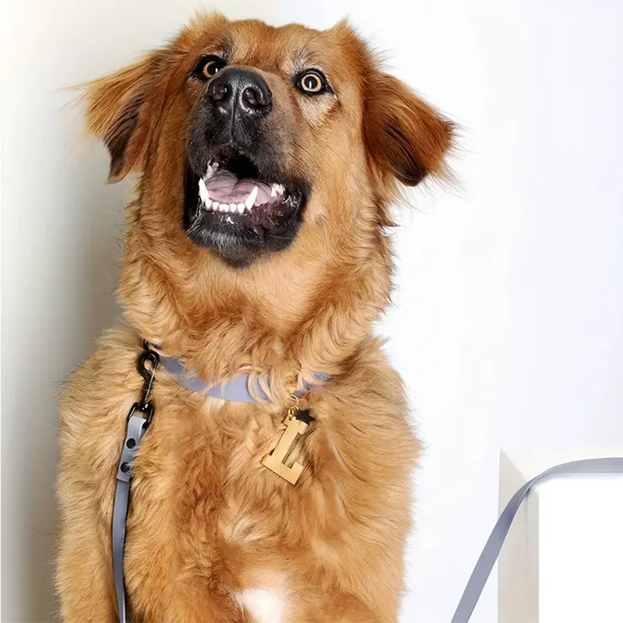 Фонарь-прочный быстросохнущий с отражающим швом регулируется для мелких и