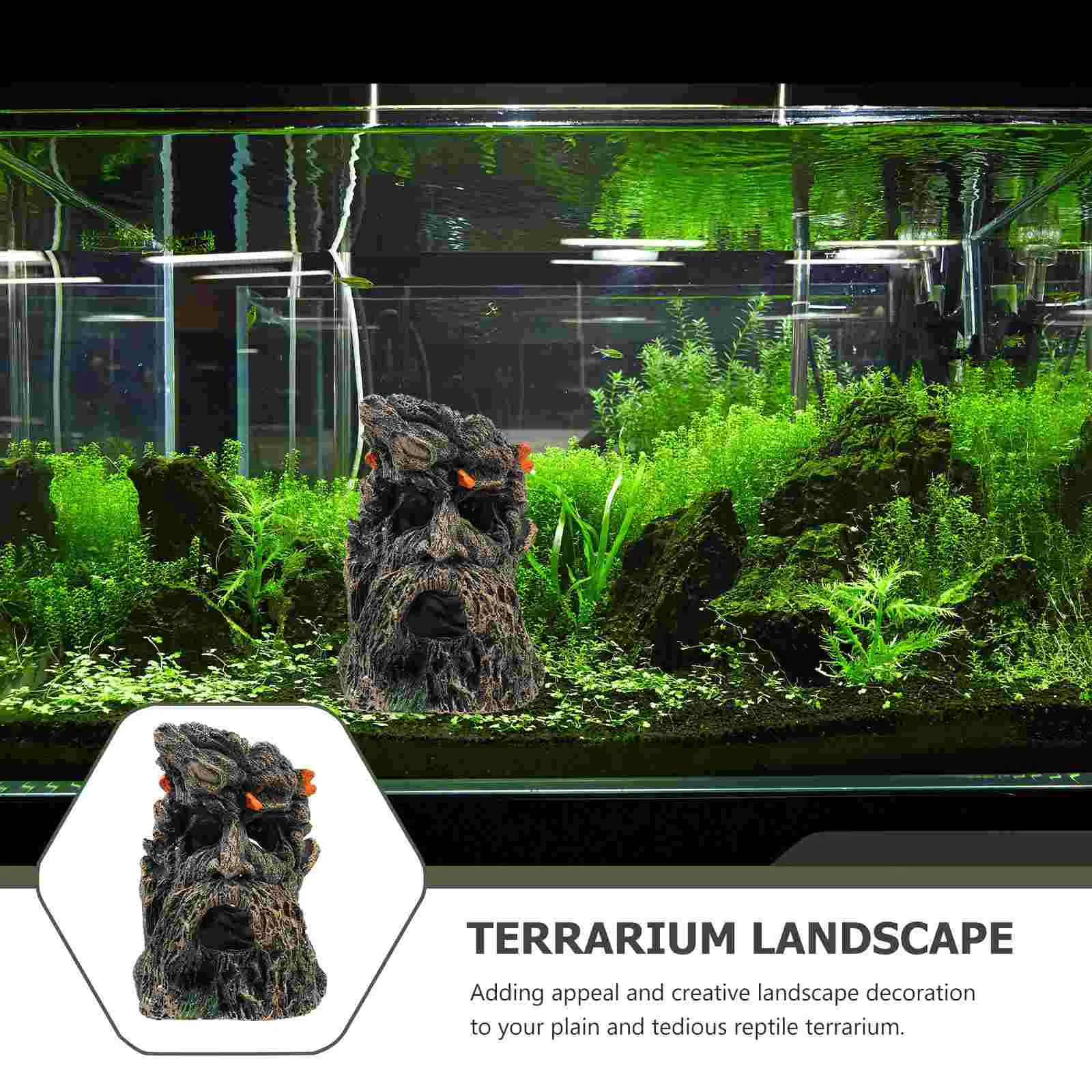 Террариум для рептилий обитания ствол старый человек Дракон бороды клетка