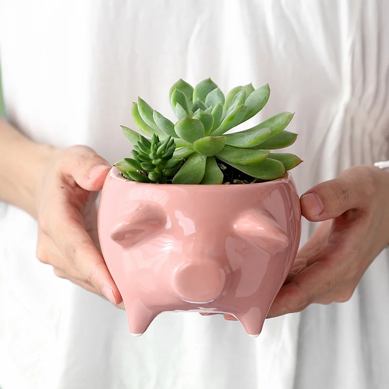 

Симпатичный цветочный горшок в виде свиньи, креативная индивидуальность, мясистые розовые керамические вазы, растения в горшке, дышащие горшечные растения, цветочное украшение