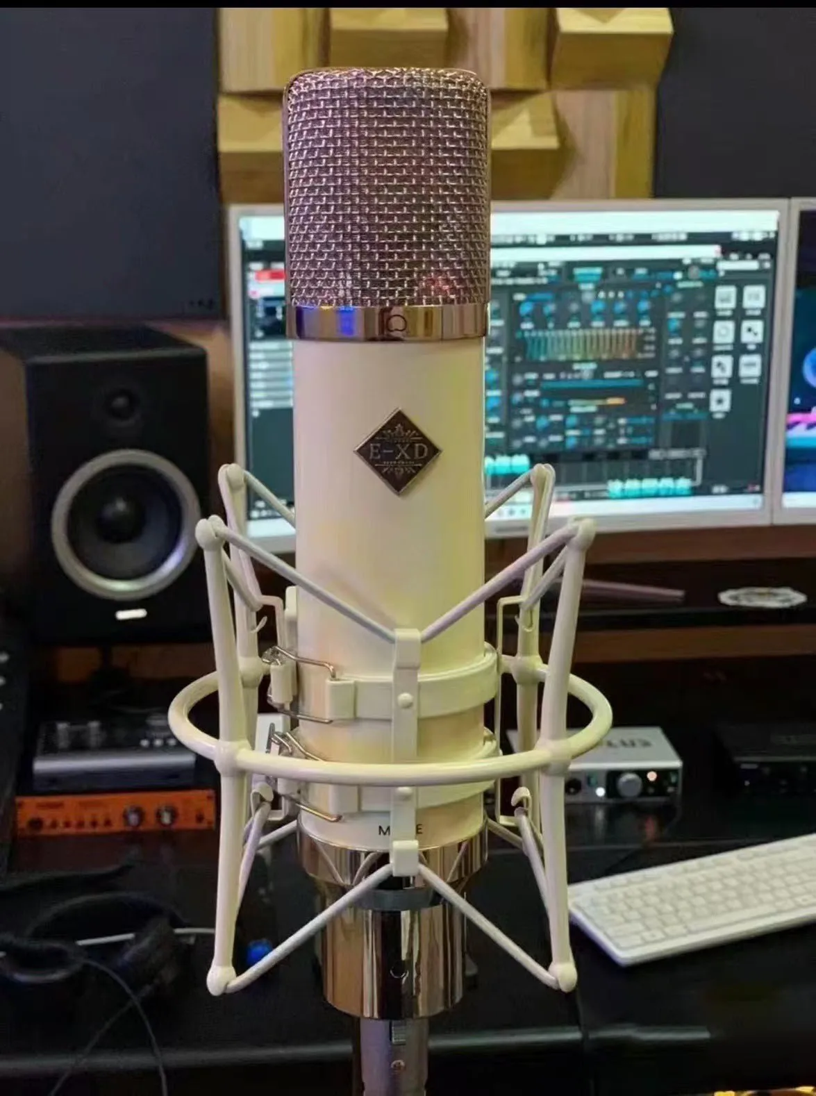 Профессиональный конденсаторный микрофон EXD M251E с большой диафрагмой подходит