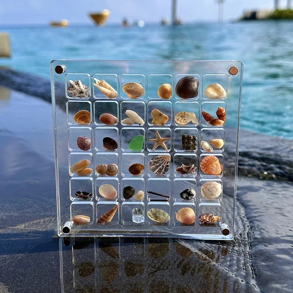 36/64/100 сетка акриловая коробка для демонстрации ракушек магнитная ракушка