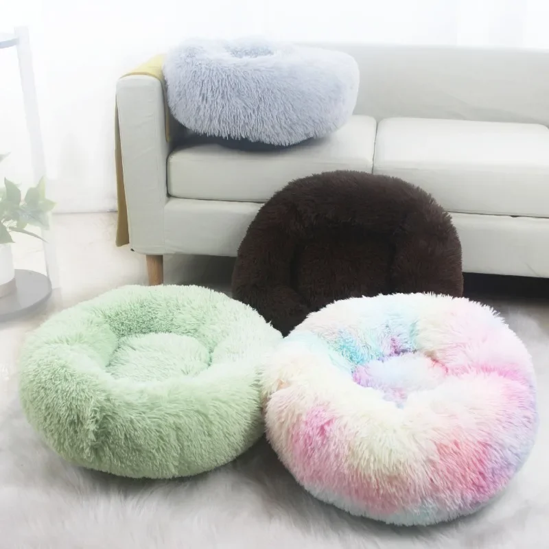 Эль otoño estáراق государственpuede estar lejos del invierno? Tu mascota интеллектуальное удобное и