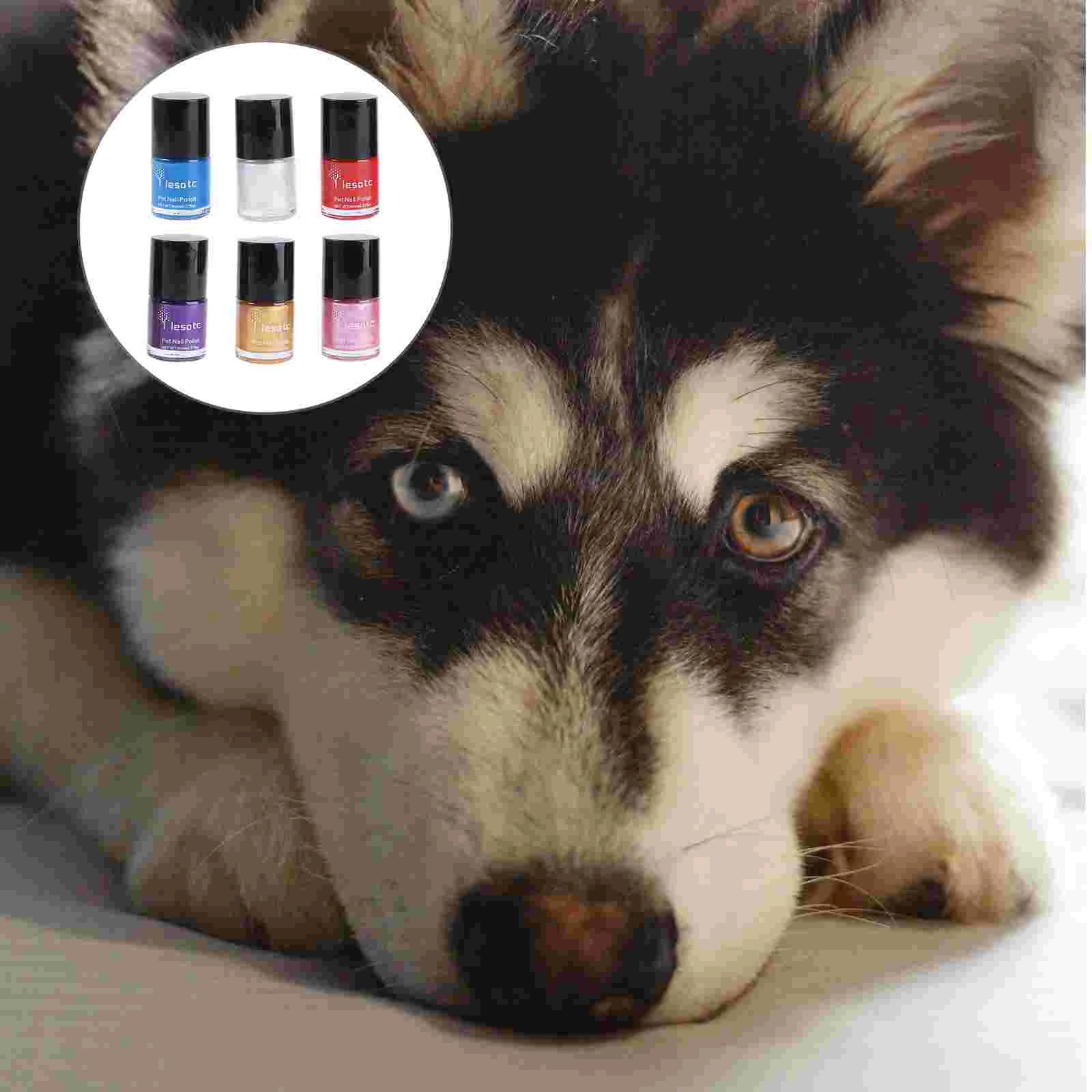 

6-Piece Nontoxic Eco-friendly Fashion Pet Nail Polish Pet Supplies Pet Beauty Accessories Pet Products