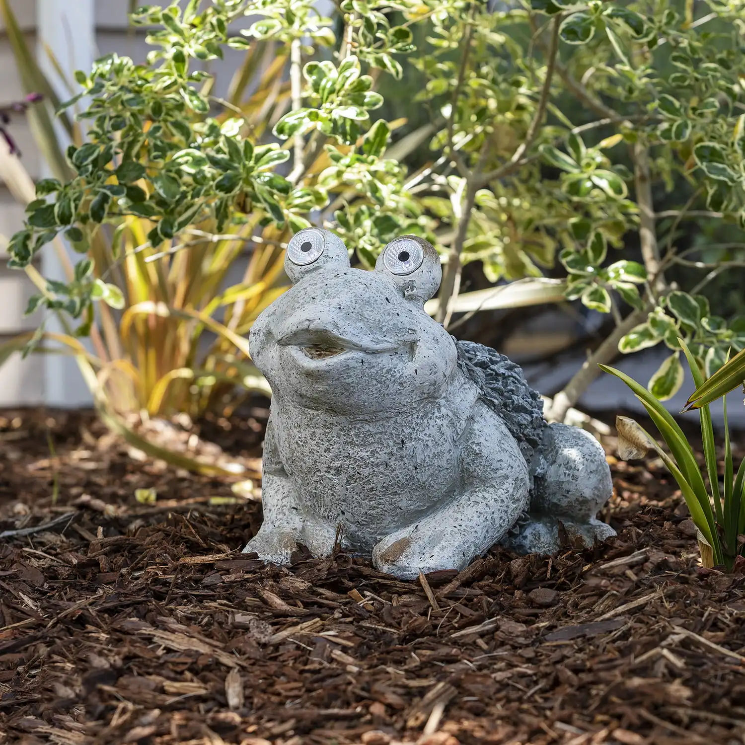 

Alpine Corporation 12" Solar Frog Outdoor Garden Statueoutdoor garden statue