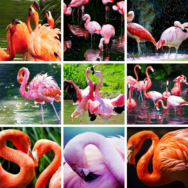 

DIY Flamingo 5D Diamond Painting Art Lovely Birds Animal Protection Phoenicopteridae Mediterranean Fashion Home Decor Craft Kits